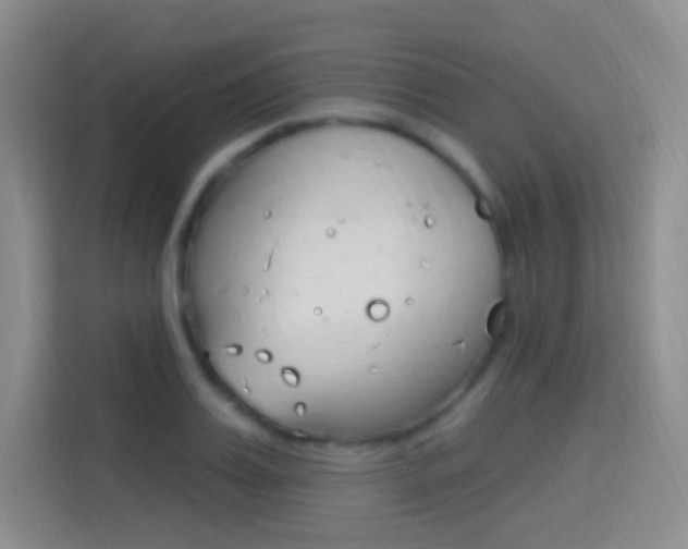 X0000114730987200910211059