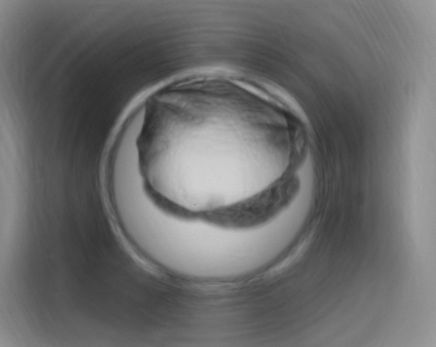 X0000114730989200910211059