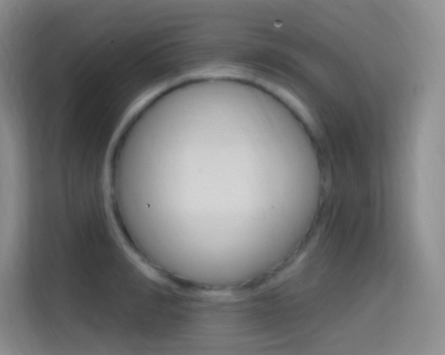 X0000114730990200910211059