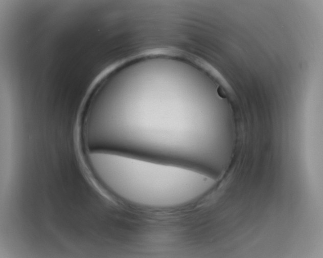 X0000114730991200910211059