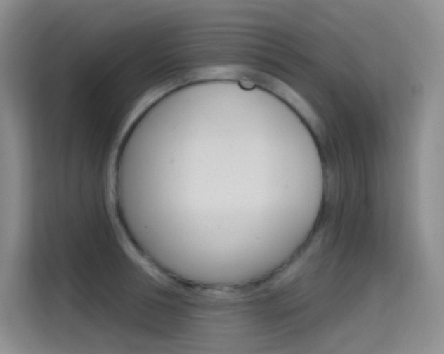 X0000114730994200910211059