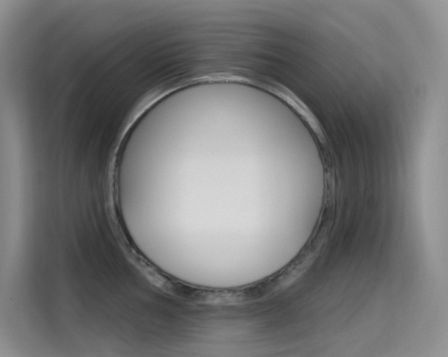 X0000114731002200910211059