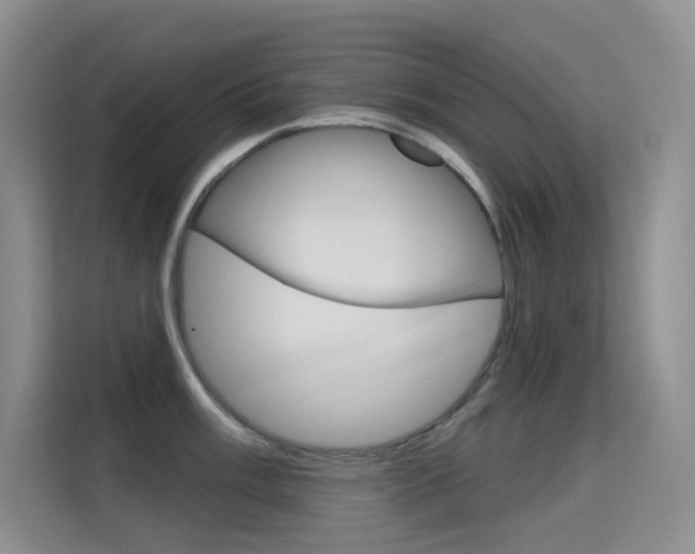 X0000114731003200910211059