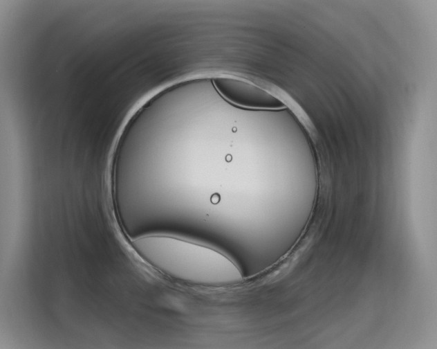 X0000114731004200910211059