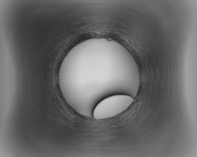 X0000114731009200910211058