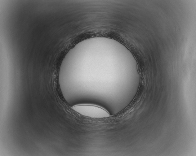 X0000114731010200910211058