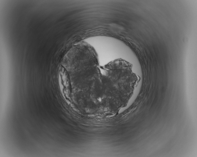 X0000114731011200910211058