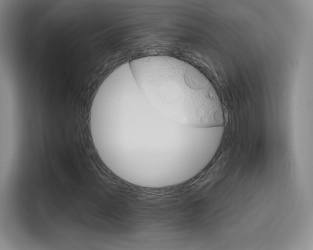 X0000114731012200910211058