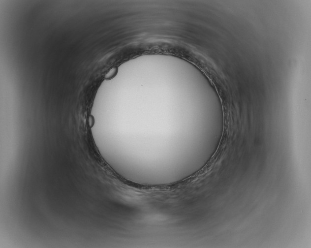 X0000114731013200910211058