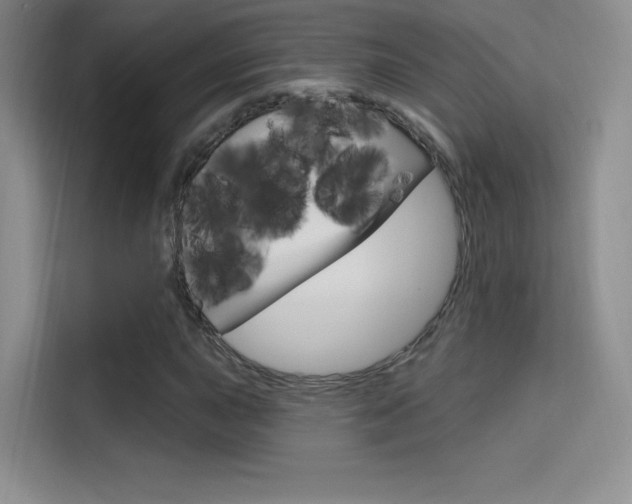 X0000114731015200910211058