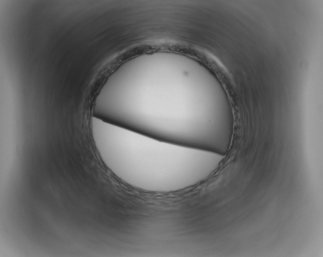 X0000114731016200910211058