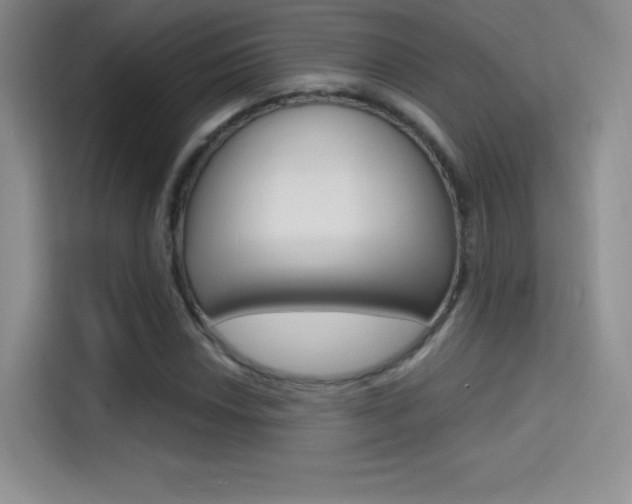 X0000114731018200910211058