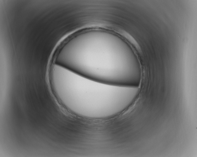 X0000114731020200910211058