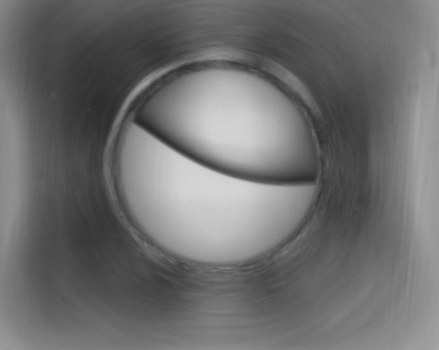 X0000114731024200910211058