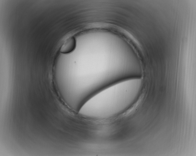 X0000114731025200910211058