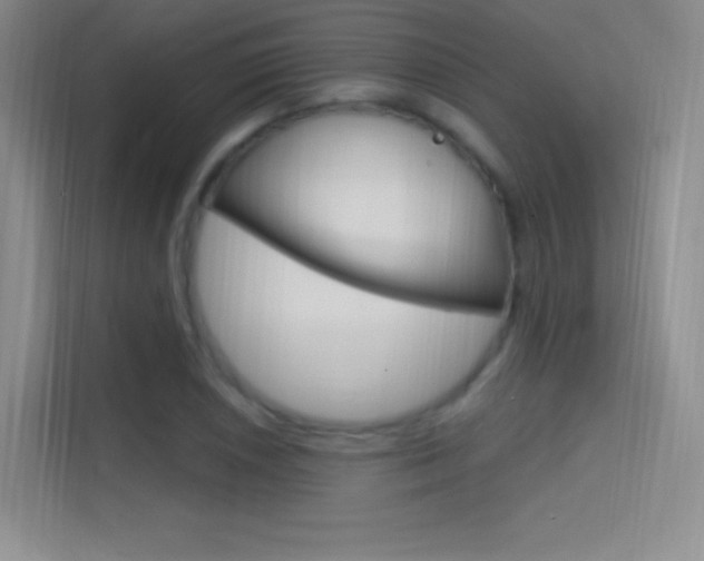 X0000114731026200910211058