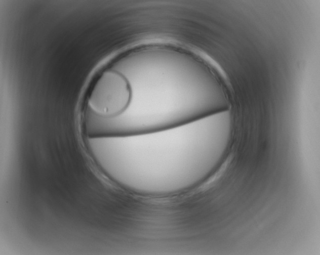 X0000114731029200910211058