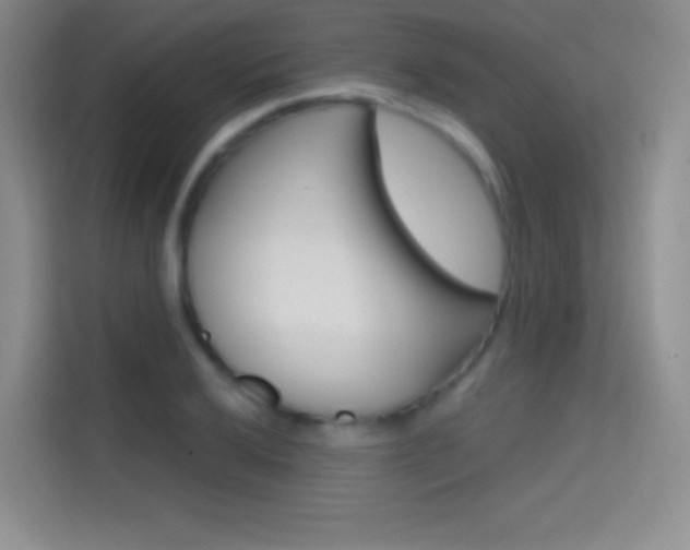 X0000114731032200910211058