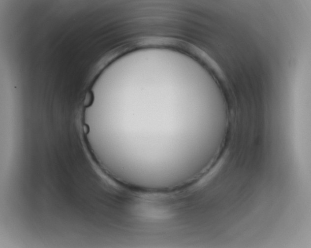 X0000114731033200910211058