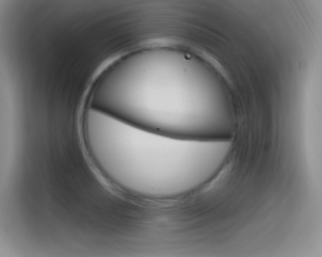 X0000114731034200910211058