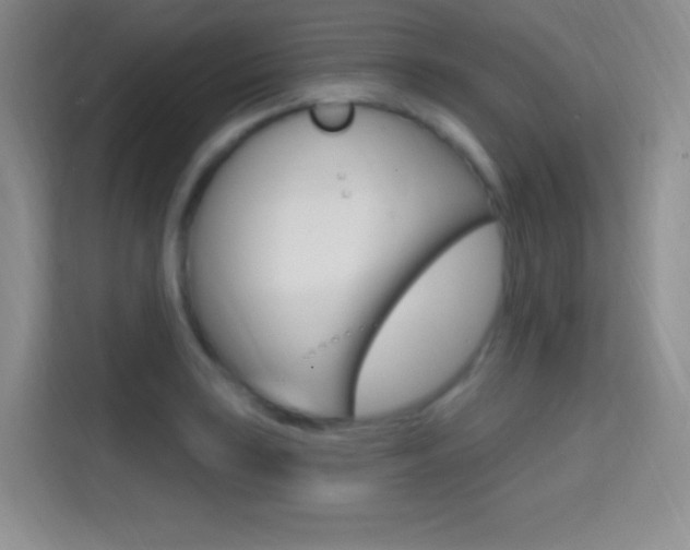 X0000114731035200910211058