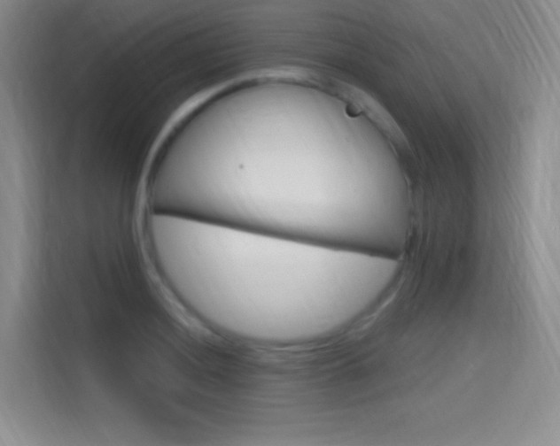 X0000114731036200910211058