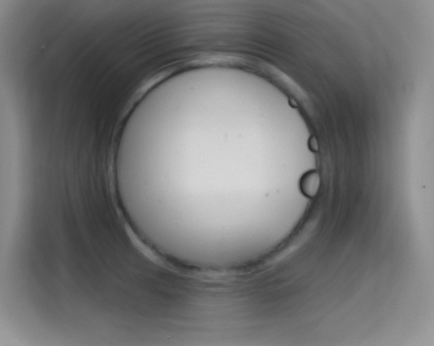 X0000114731041200910211059