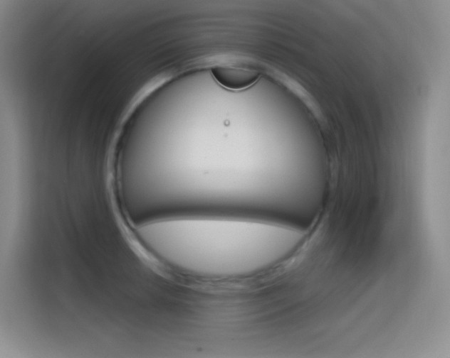X0000114731042200910211059