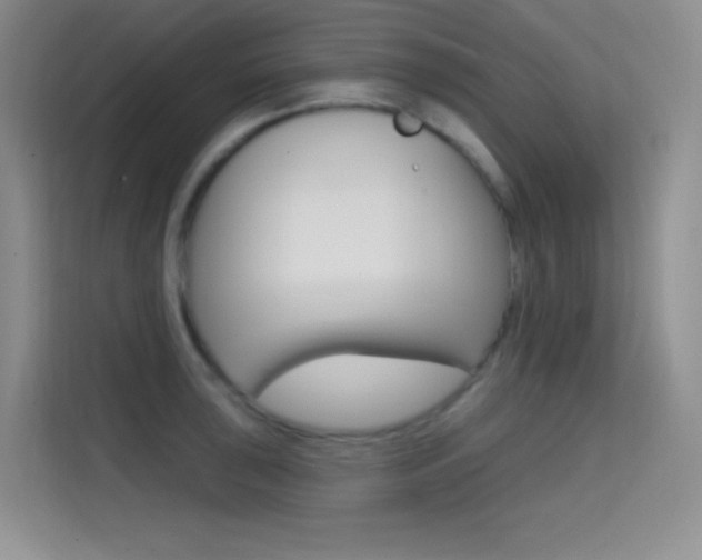 X0000114731043200910211059