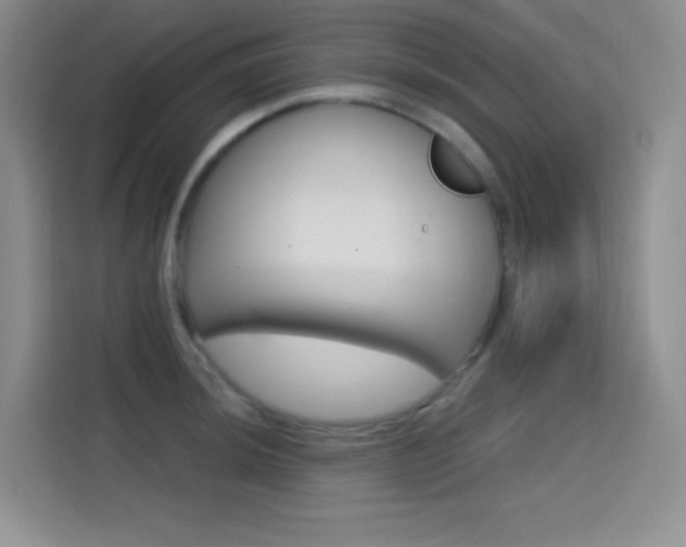 X0000114731044200910211059