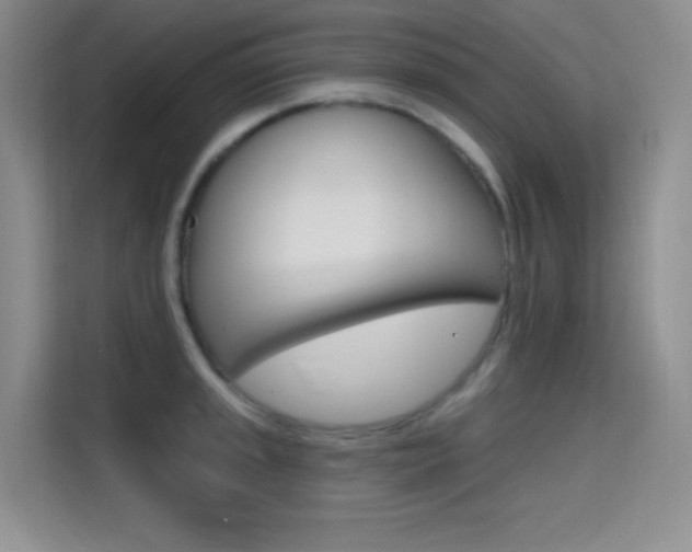 X0000114731045200910211059