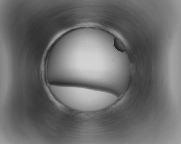 X0000114731046200910211059
