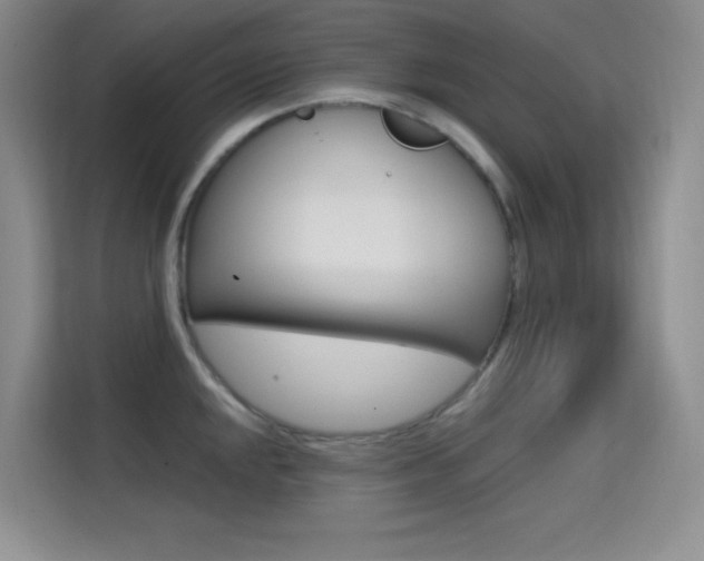 X0000114731048200910211059