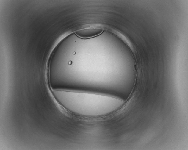 X0000114731050200910211059