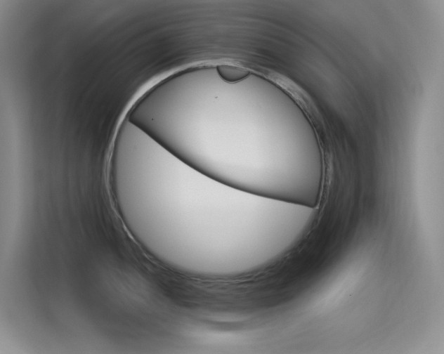 X0000114731052200910211059