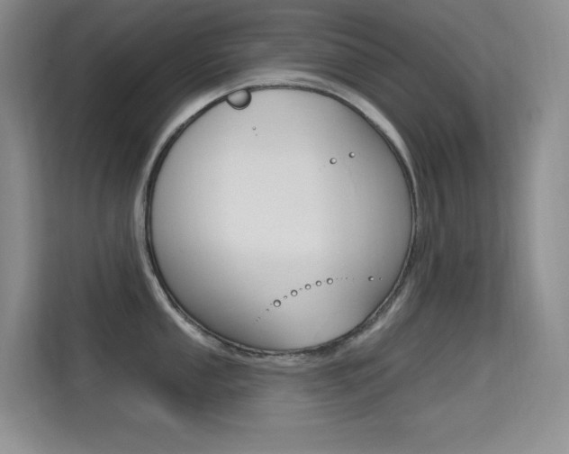 X0000114731053200910211059