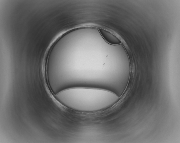 X0000114731054200910211059