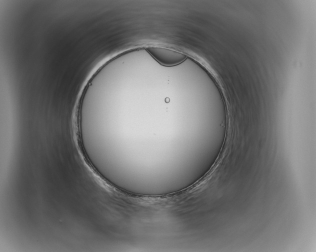 X0000114731056200910211059