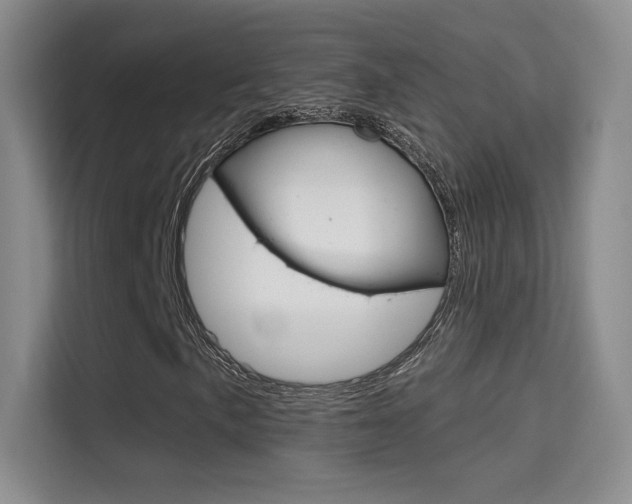 X0000114731057200910211058