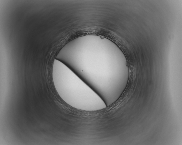X0000114731058200910211058
