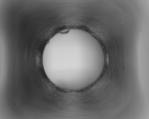 X0000114731059200910211058