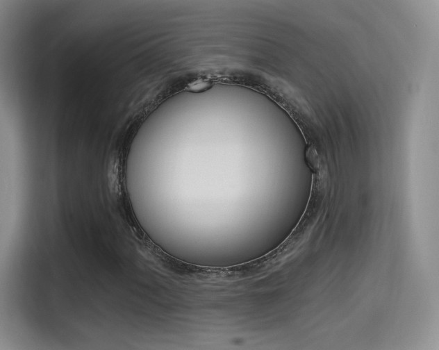 X0000114731060200910211058