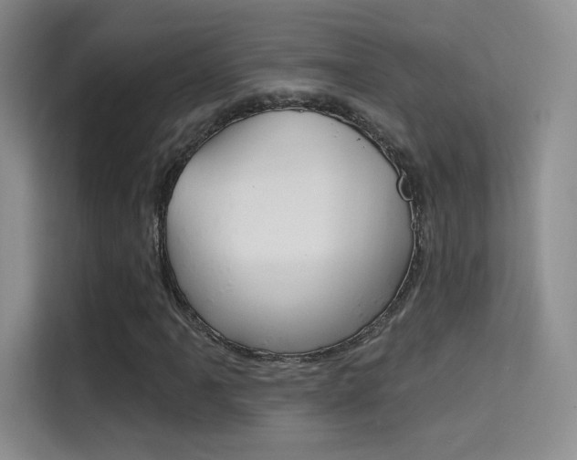 X0000114731061200910211058