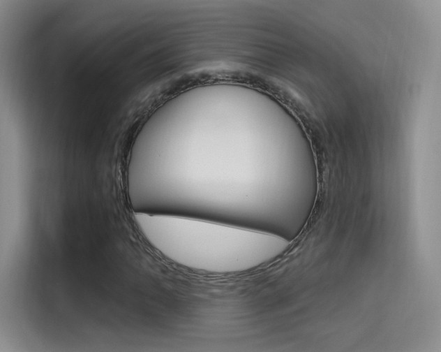 X0000114731062200910211058