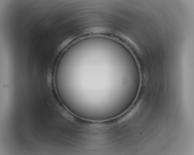 X0000114731065200910211058