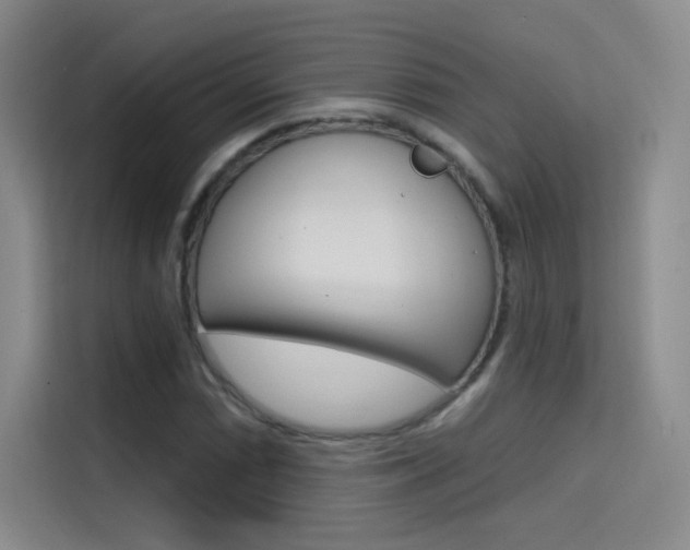 X0000114731066200910211058