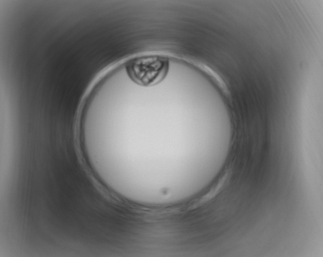 X0000114731077200910211058