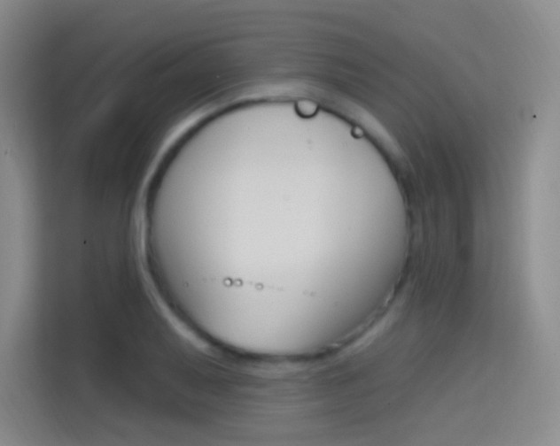 X0000114731079200910211058