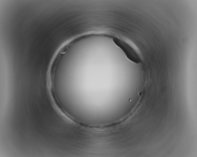 X0000114731080200910211058