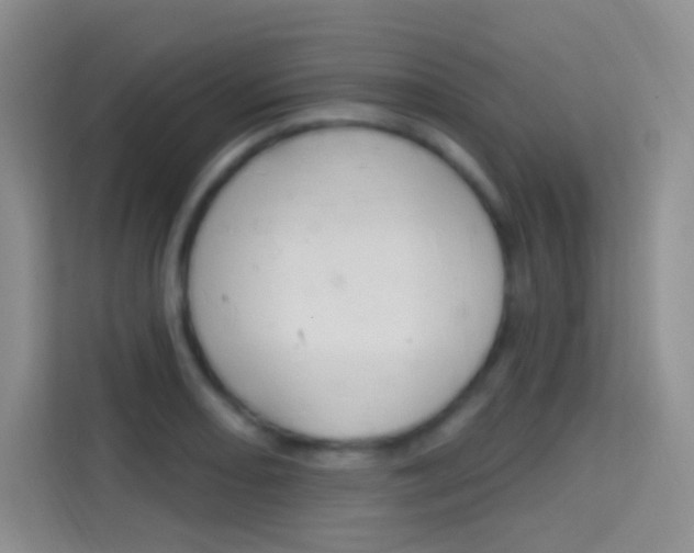 X0000114731082200910211058